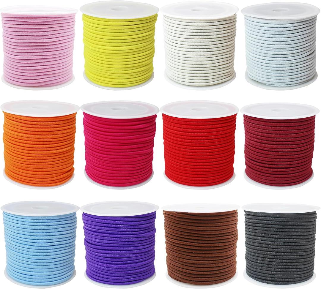 12rolls Colored Elastic Stretch String Assortment 2mm 300ft Elastic Round Beaded Cord Small Bungee Shock Cord for Pony Silicone Beads Large Hole Bead Keychain Bracelet DIY Crafts & Sewing (ZH169), 300 feet , 2 millimeters