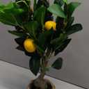Artificial Potted Plants 17.3 inches Small Fake Lemon Tree Artificial Lemons Citrus Tree with Woven Pot Faux Plants Indoor Lemon Decorations for Home,Office, Living Room Table, Desk