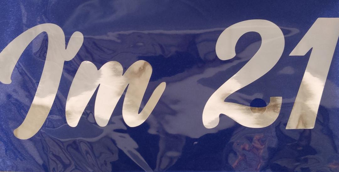 FSJJLLU ‘I'm 21 Bitches' Birthday Sash, Royal Blue with Foil Silver Letters Bday Sash for Women, 21st Birthday Sash for Girls Funny Birthday Party Favors Supplies, Pack of 8