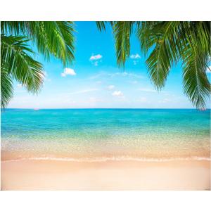 Beach Ocean Backdrop, Hawaii Tropical Background Summer Photography Picture Luau Theme Party Decorations, Outdoor Indoor Aloha Birthday Decor Banner Photo Studio Photoshoot Props 118"x95.6" (Blue)