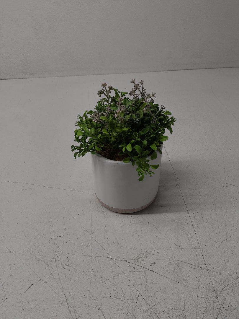 HD 6 IN BLOOM GREENERY