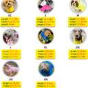 Waterproof Dog Raincoat, Adjustable Reflective Lightweight Pet Rain Clothes with Poncho Hood (Large, Yellow)