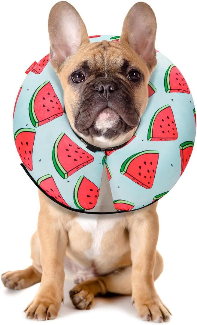 MIDOG Inflatable Dog Cone Alternative for After Surgery - Soft Protective Donut Collar Prevents Licking, Comfortable Recovery E-Collar Alternative for Small Medium Large Dogs (Watermelon,M)