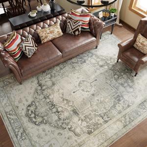 Area Rugs 8x10 Living Room, Neutral Boho Distressed Color Washable Rugs, Non Slip Soft Carpet for Bedroom Dining Room (Light Green & Gray)
