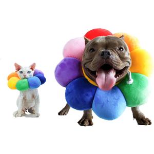 Adjustable Recovery Collar - Protective Pet Cone for Wound Healing, Soft Edge for Cats, Kittens & Small Dogs, M