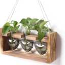 Plant Terrarium Propagation Stations Hydroponics Home Garden Decoration Gift for Women with Wooden Stand Heart Shaped Colored Glass Vase