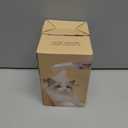 2 x Soft 3-in-1 Silisone Spray Brush, Upgraded for Shedding, Cleaning and Spa Massage, Hair Removal, Best Water Steam Brush for Indoor Long or Short Haired Cat and Dog (Purple)