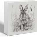 Vintage Easter Bunny Wooden Box Sign Desk Decor, Farmhouse Rustic Easter Rabbit Sketch Decorative Wood Signs for Home Office Desk Shelf Table Decorations, 5x5 Inch (Color 10)