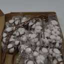 idyllic Cotton Stems Decor Branches, Cotton Flowers Plants for Decorations, Dried Flowers for Vase, Pack of 6-31 Inches Tall - 12 Bolls per Stem