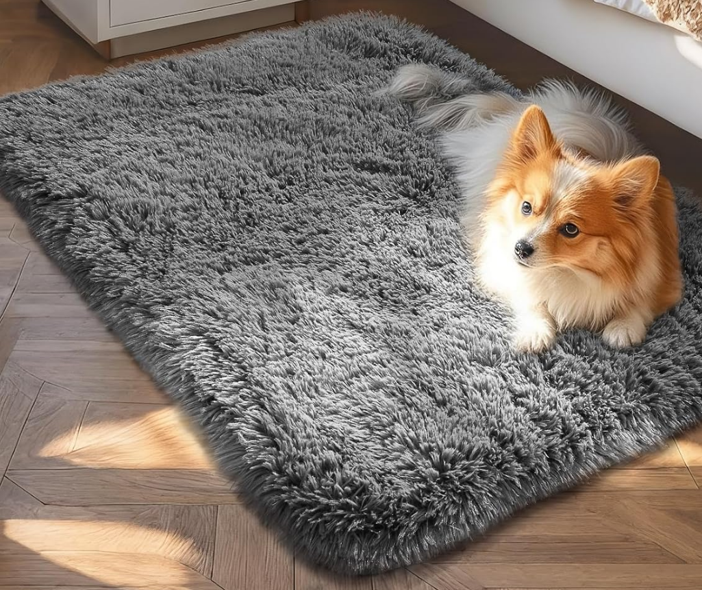Ophanie Small Throw Rugs for Bedroom, 2x3 Non Slip Mini Area Rug, Affordable Fluffy Grey Carpet, Door Entryway Indoor Inside Front Entrance Dog Mat, Home Decor Aesthetic, Nursery