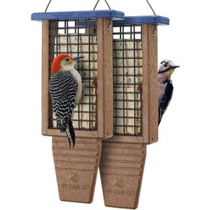 Kingsyard 2 Pack Double Tail-Prop Suet Bird Feeder