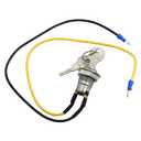 8N3679C Ignition Switch with 2 Key Compatible with Ford Tractor 2N 8N 9N NAA Jubilee 500 501 600 601 700 701 800 801 900 901 961 971 1800 1801 1811 2000 2031 2110 2131 4000 4030 4031 4040 4110 4140