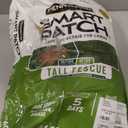 Pennington Smart Patch Tall Fescue 30lb 600 sq. ft. Grass Seed Bare Spot Repair with Mulch and Fertilizer