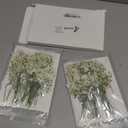 Tinideya 100 Pcs Dried Babys Breath Flowers Bulk Babys Breath Real Pressed Flowers Natural Gypsophila for Resin Wedding Art Craft Baby Shower DIY Invitations Scrap Booking Card Making(Ivory White)