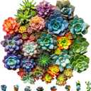 Mys Aurora Succulent Wooden Puzzles for Adults, 500 Piece Unique Shaped Wood Jigsaw Puzzles for Adults and Kids, Fun Challenging Puzzles Family Game Gift, Medium 16.9'' x 16.5''
