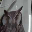 27x40 Metal Picture Frame with 24x36 Mat, Brushed Aluminum Finish, Tempered Glass Front, and Attached Hanging Hardware - Versatile Wall Display Frames for Vertical or Horizontal Orientation(Black,