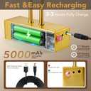 RAIFOOLLY Picture Light,Picture Lights for Wall Cordless,20inch Art Light with Timer and Dimmable,5000mAh Battery Wall Lights for Display Gallery Painting Art Frame Portrait-Plated Gold