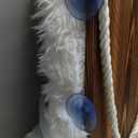 Cat Hammock with IndustrialGrade Suction Cups  Solid Pine Wood Seat, Soft Cushion  42 lb Capacity