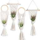 Melphoe 4 Pack Air Plants Holders Stand Air Fern Macrame Plant Hanger Indoor Hanging Planter Basket for Tillandsias Display, Boho Home Decoration Gift Idea