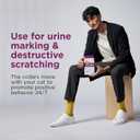 Comfort Zone Cat Calming Collar Value Pack: 4 30-Day Calming Collars for 120 Days of Calm; Cat Pheromones Help Anxiety, Reduce Stress, Urine Marking, Scratching; Indoor or Outdoor Cats; Long-Lasting