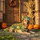 Large Dog Costume Halloween Dog Crocodile Costume Pets Winter Warm Coat Jumpsuits(M, Green)