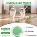 Cat Toys for Indoor Cats, Interactive Cat Toy for Adult Cats | Hide and Seek Play Mat for Bored Kittens, Automatic Rolling Ball with Real Bird Chirping, Motion Activated Rechargeable