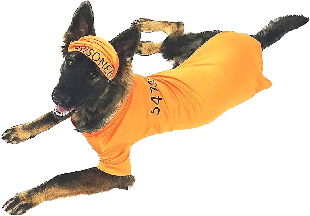 Midlee Orange Prisoner Halloween Dog Costume (XX-Large) Midlee Orange Prisoner Halloween Dog Costume (XX-Large)