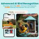 NETVUE by Birdfy Smart Bird Feeder with AI Camera, Auto Capture Videos & Motion Detection, Live Steam, Wireless Wildbird Watching, Outdoor Backyard Birder(AI by Subscription)