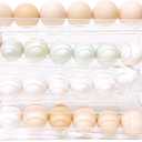 4 Tiers Egg Holder for Fridge Space-Saving Egg Dispenser Holder for Refrigerator Auto Rolling Egg Organizer Egg Rack (Clear)