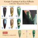Nicedeco Cat Eye Gel Nail Polish, Hema Free, Cruelty Free, Vegan, High Gloss Long Lasting Soak Off LED U V Gel 12 Colors Kit 11