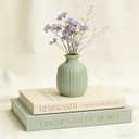 Decorative Books for Home Decor- Coffee Table Aesthetic Decorative Books, Set of 2 Linen Faux Books for Living Room Bookshelf Decoration (Mintgreen&Beige)