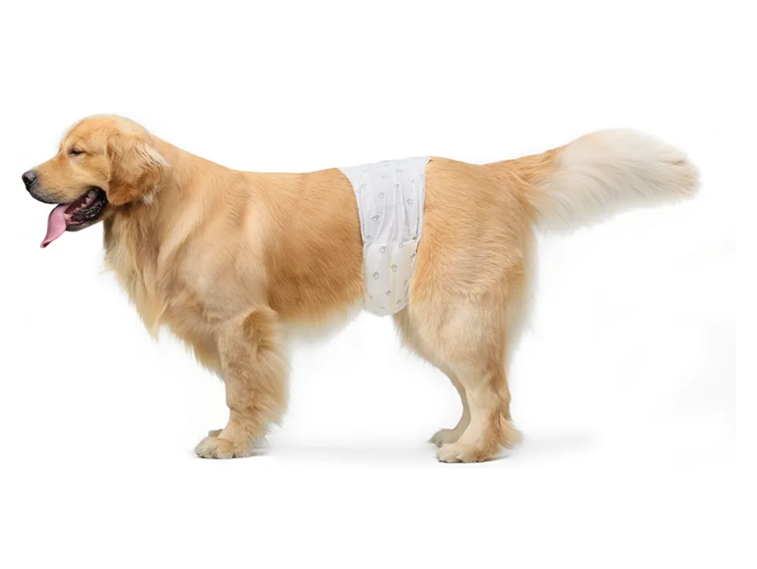 Basics Male Dog Diapers, 30 Count, Large, Ultra Absorbent Disposable Wrap with Secure Fit, Leakproof and Comfortable