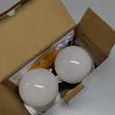 Brightown E26 Rechargeable Light Bulb with Remote and Timer, Battery Backup Bulb for Sconces and Lamps, Magnetic Bulbs for Non-Hardwired Fixture, 3 Color Temperatures + 9 RGB Colors, Dimmable, 2 Pack