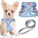 YIMEIS Dog Harness and Leash Set, No Pull Soft Mesh Pet Harness, Reflective Adjustable Puppy Vest for Small Medium Large Dogs, Cats (Greyblue, Small)