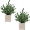 2 Pack Small Fake Plants Rosemary Potted Artificial Plants for Shelf Desk Home Bathroom Farmhouse Room Coffee Table Decor (Green)