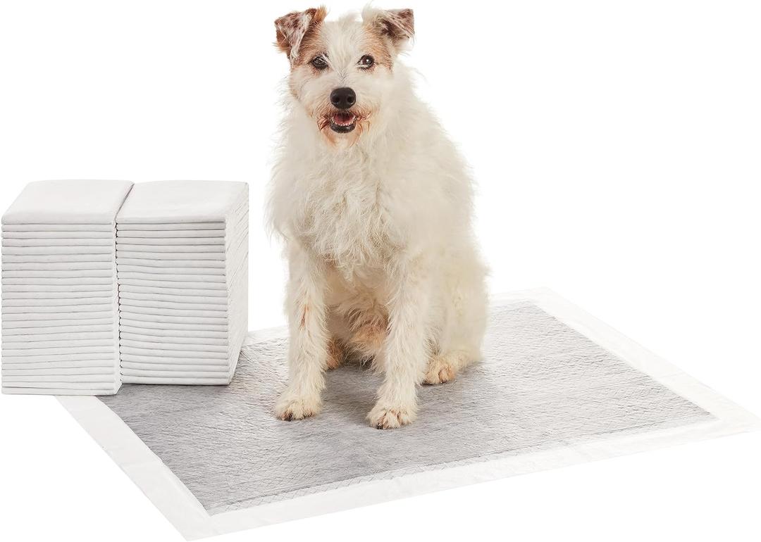 Amazon Basics Carbon Odor-Control Dog and Puppy Pee Pads, 5-Layer Leak-Proof Super Absorbent, Quick-Dry Surface, Potty Training, X-Large (28x34"), 50 Count, Gray