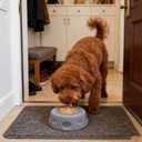 Dog Lick Bowl with Ball,Lick Ball Bowl for Dogs,Dog Licking Bowl with Rolling Ball,Slow Feeder Ball Bowl to Slow Pet Eating,Rolling Ball Dog Bowl Give Pet More Time to Enjoy Eating. (Blue)