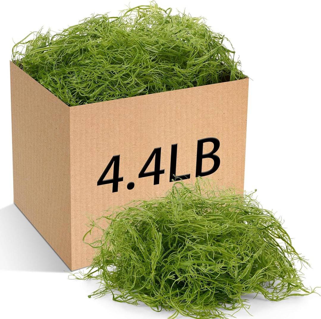 Giegxin Spanish Moss Faux Greenery for Potted Plants, Crafts, and Floral Arrangements Moss Artificial Plants Potted Artificial for Halloween Indoor Outdoor 4.4 lb Bulk Case (Grass Green)