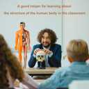 Human Body Model for Kids Anatomy Plastic DIY Skeleton Toy 3D Anatomy Kit Educational Science Kit