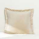 Lush Decor - Euro Sham Covers, 2-Piece Velvet Pillow Covers, Super Soft Home Essentials (Velvet Dreams Neutral, 25.5" x 25.5")
