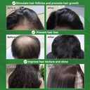 Dr. Sebi Batana Oil for Hair Growth - 2 Pack, 100% Natural & Organic, Repairs Damaged Hair, Prevents Hair Loss, Enhances Thickness