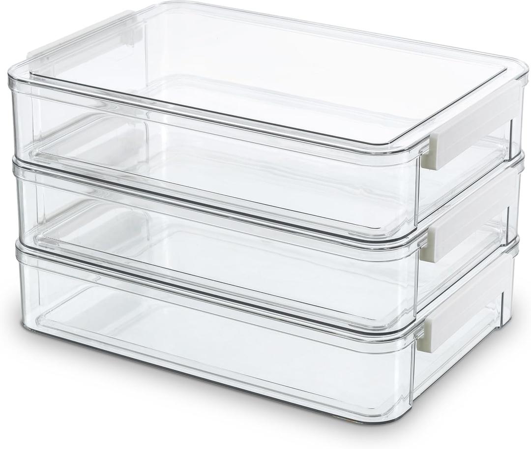 Citylife 3 PCS 9 x 13 Plastic Storage Bins with Lids and Latches, Portable Art Supply Storage Organizer, Paper Storage Box for Organizing A4 Paper, Letters, Documents, Art Supplies, and Crafts (3 Packs-Large, Clear White)