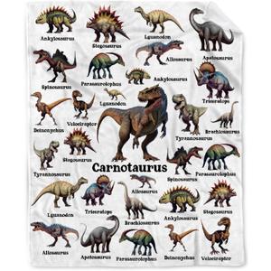 Dinosaur Blanket Gifts for Boys, Jurassic Dino Throw Blanket Gifts for Baby Girls Decor Animal Wild Plush Soft Lightweight Flannel Fleece Dinosaurs Blankets Sheet for Nursery Stroller Toddler 40x30In
