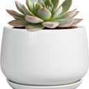 G EPGardening Ceramic Pots for Plants - 6 Inch Planter for Indoor Plants, Flower Pots with Drainage and Ceramic Tray, Modern Office Decor, Gifts for Plant Lovers, White