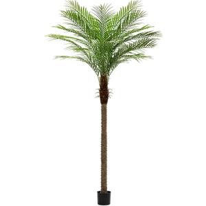 6ft Artificial Phoenix Palm Tree Tall Artificial Palm Trees with 18 Adjustable Leaves,Faux Phoenix Palm Plants for Outside Patio Pool Home Office Living Room Yard (1Pcs, 6ft)