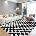 Terrug Black and White Checkered Rug for Living Room,5x7 Area Rugs Washable with Non Slip for Bedroom,Soft Low Pile Stain Resistance Retro Carpet for Dorm Kids Room