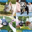 BARKLESS Short Snout Dog Muzzle, Soft Silicone Flat Faced Muzzle for French Bulldog Shih Tzu and Pug for Biting Chewing Licking and Grooming, Allows Panting, Medium（Head 15-16½"）