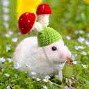 Kajaia 10 Pcs Hamster Hat Small Animals Cute Tiny Hat Mini Hand Knitted Hats for Snakes Pets Bearded Dragon Guinea Pig Bunny Costume Accessories Easter Holiday Parties(Fresh Style)