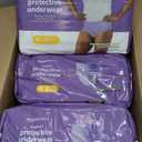 Amazon Basics Incontinence Underwear for Women, Protective, Disposable, Postpartum, Maximum Absorbency, Medium, Lavender, 60 Count (3 Packs of 20)