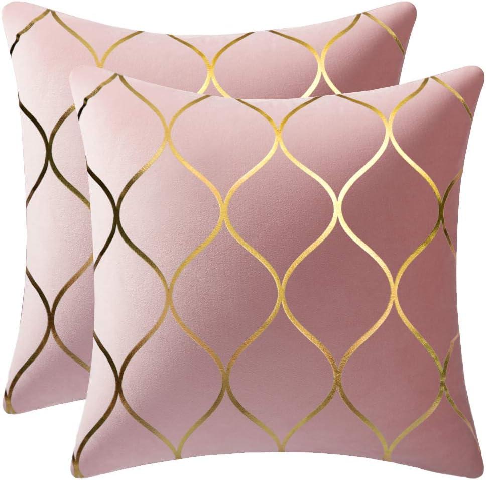 DEZENE Gold Velvet Throw Pillow Covers: 2 Pack 18x18 Inch Square Decorative Pillow Cases for Bedroom Sofa Couch Living Room, Pink